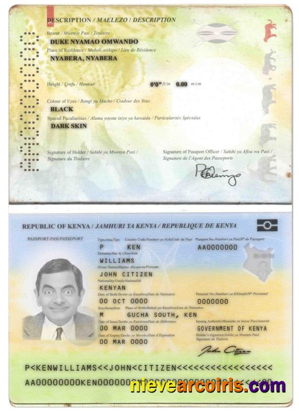 Kenya passport 2017 – present